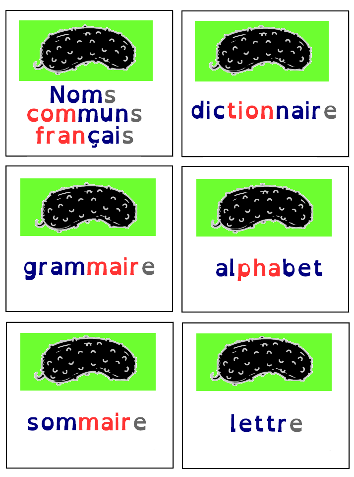 Noms-communs-français-serie 1-étiquettes de mots